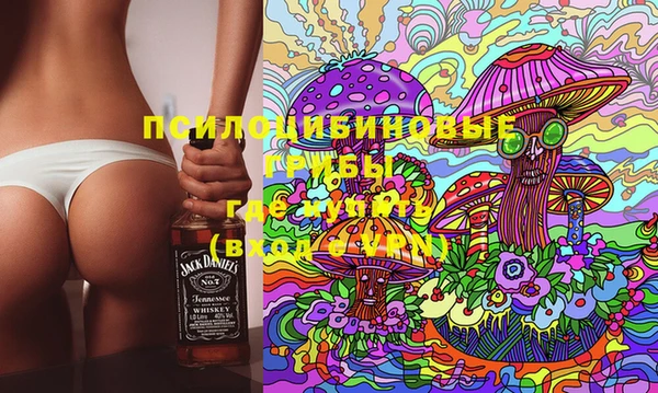 спиды Навашино